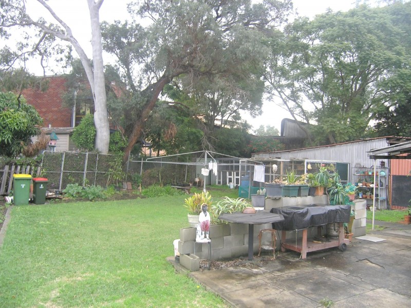 Ashfield NSW 2131