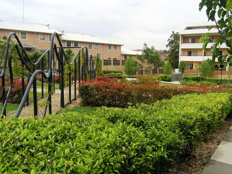 20 Close street, Canterbury NSW 2193