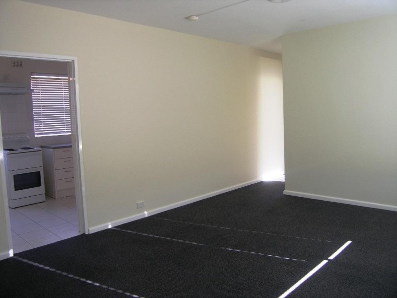 23 Marlowe Street, Campsie NSW 2194