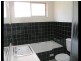 Ashfield NSW 2131