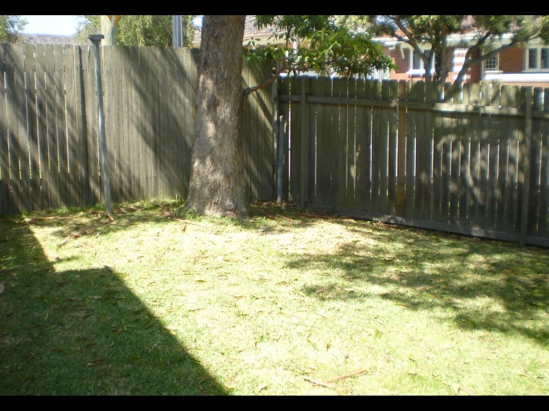 Ashfield NSW 2131