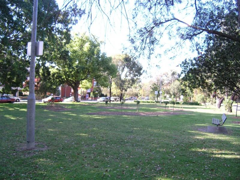 15 ALBERT PDE, Ashfield NSW 2131