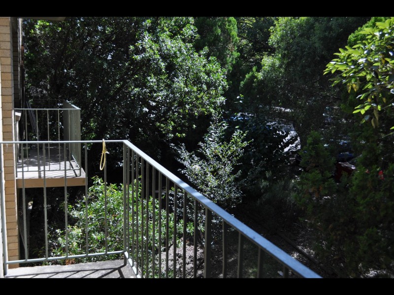 Ashfield NSW 2131