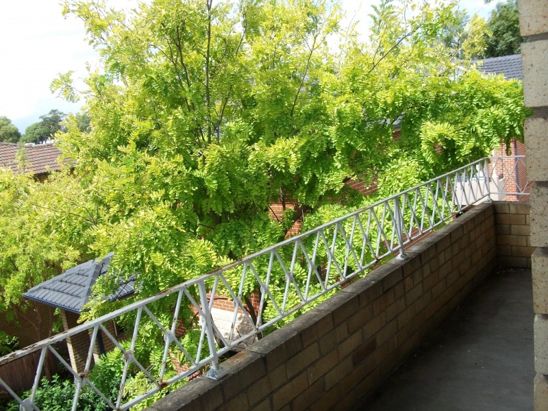 93 Alt Street, Ashfield NSW 2131