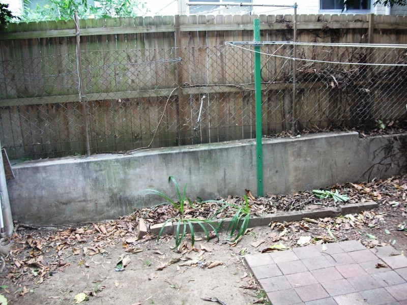 118 Elizabeth Street, Ashfield NSW 2131