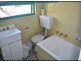 Ashfield NSW 2131