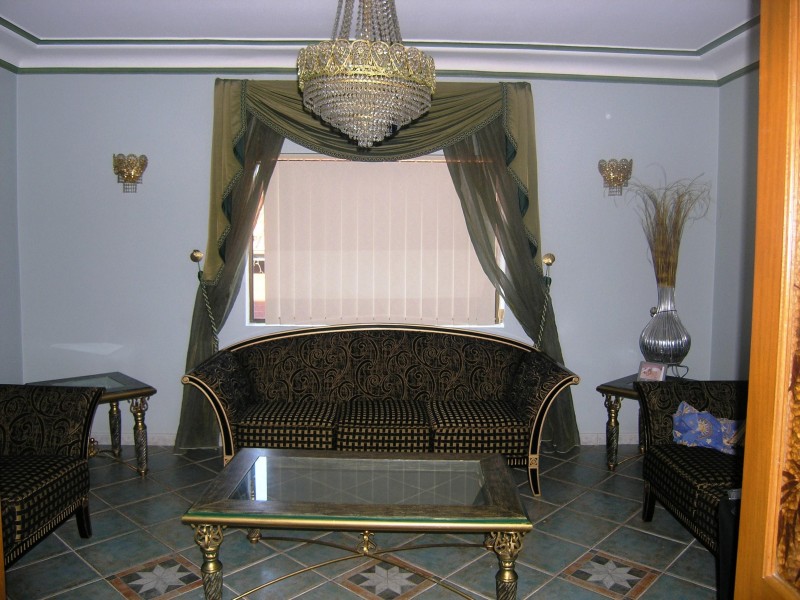 20 MOUNT LEWIS AVENUE, Punchbowl NSW 2196