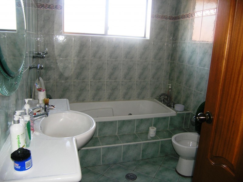 20 MOUNT LEWIS AVENUE, Punchbowl NSW 2196