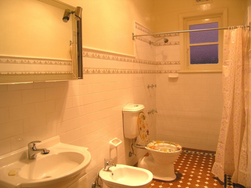 4 Palace Street, Ashfield NSW 2131
