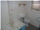 28 Orpington Street, Ashfield NSW 2131