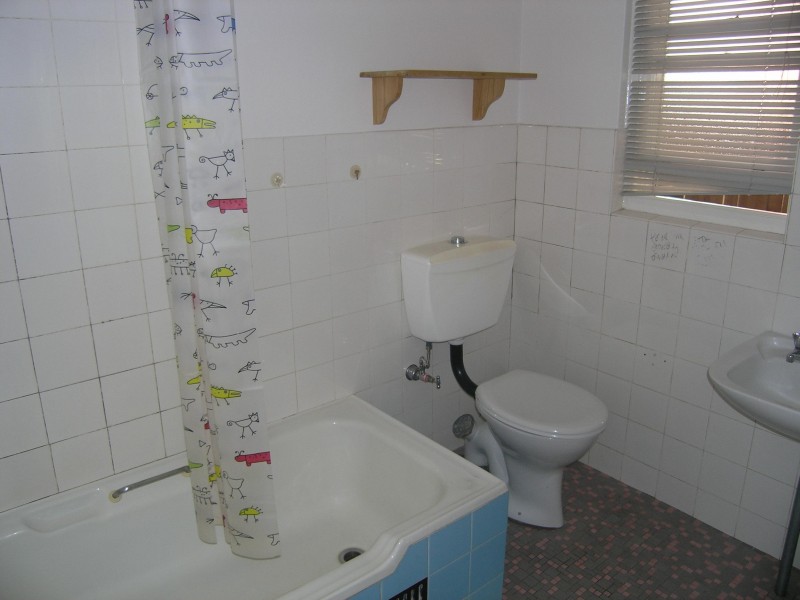28 Orpington Street, Ashfield NSW 2131