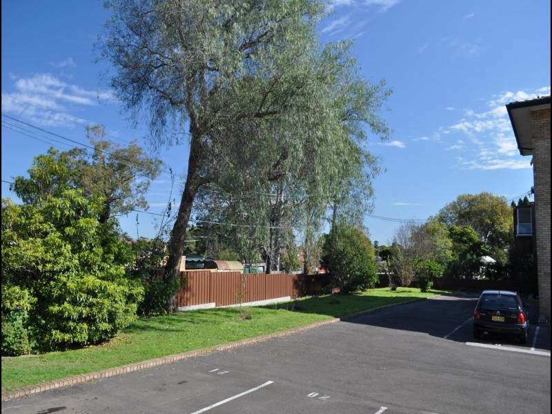 Ashfield NSW 2131