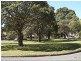8 Brunswick Parade, Ashfield NSW 2131