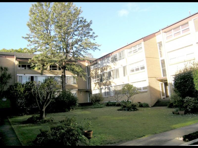 115 ALT, Ashfield NSW 2131