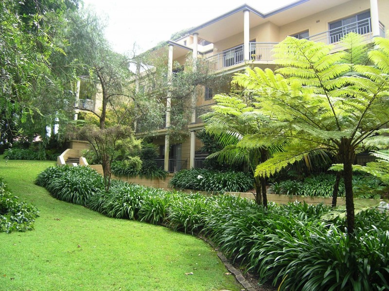 316 Pacific Hwy, Lane Cove NSW 2066