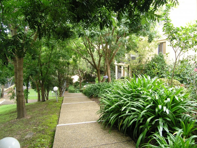 316 Pacific Hwy, Lane Cove NSW 2066