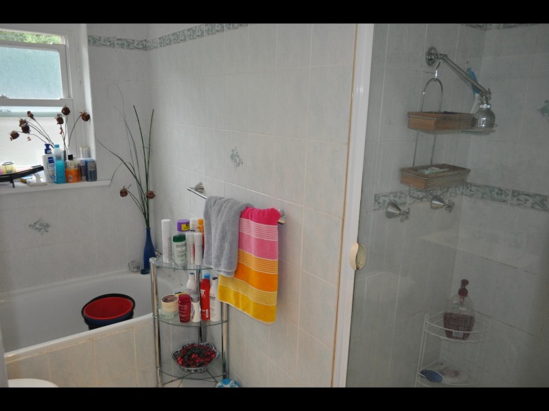 118 Elizabeth Street, Ashfield NSW 2131