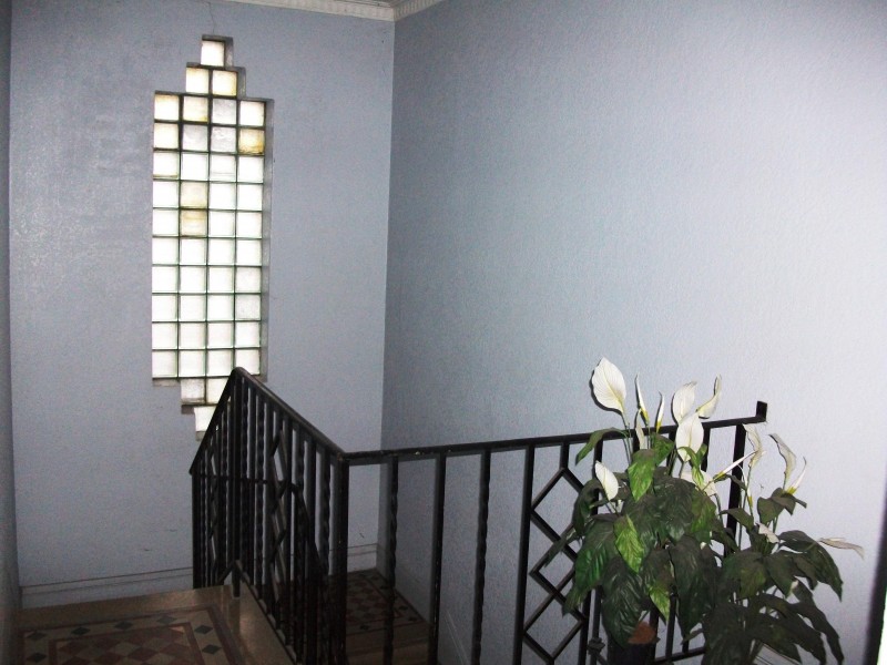 13 Cavill Ave, Ashfield NSW 2131