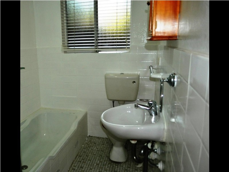 14 Orpington Street, Ashfield NSW 2131
