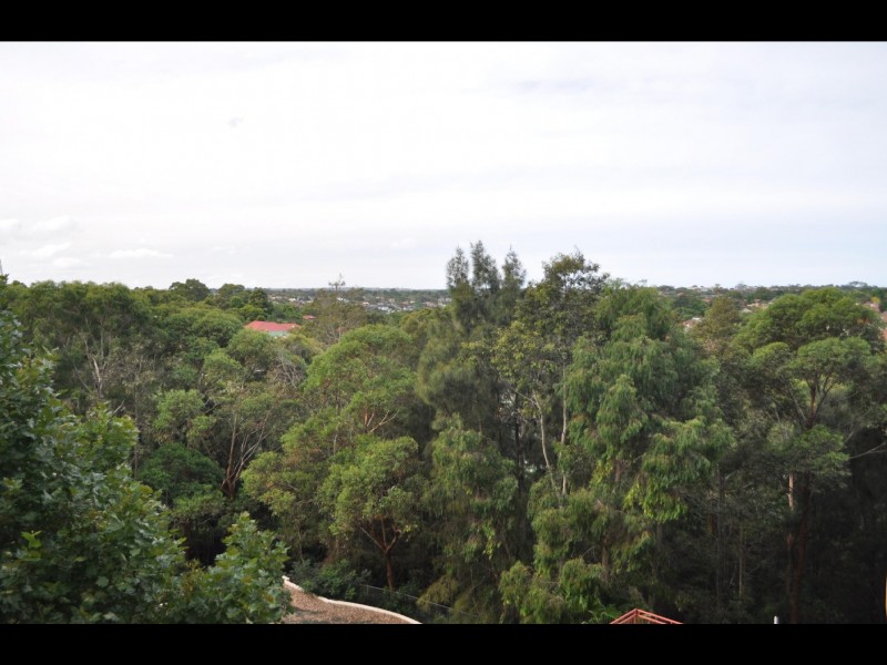 117/15 Herbert Street, St Leonards NSW 2065