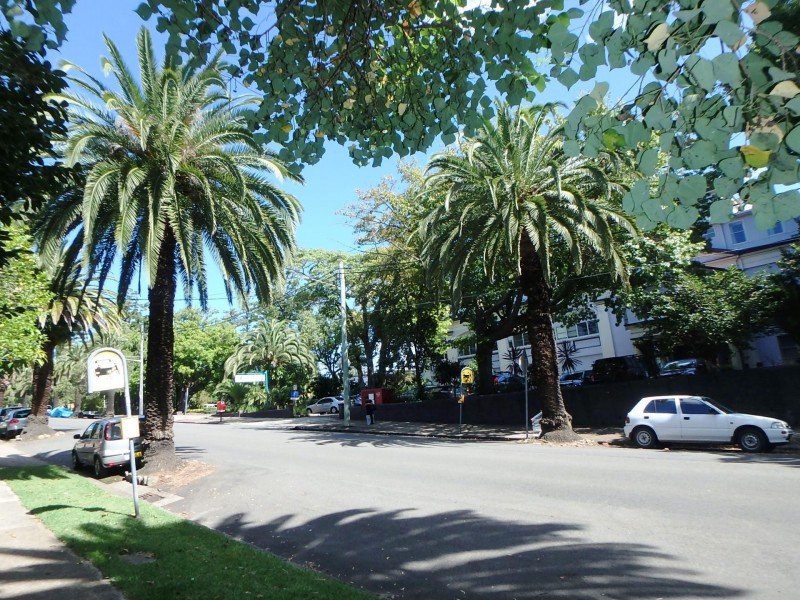 90 Victoria Street, Ashfield NSW 2131