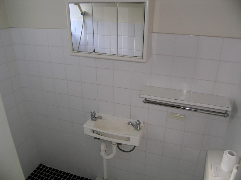 2/111 RAMSAY RD, Haberfield NSW 2045