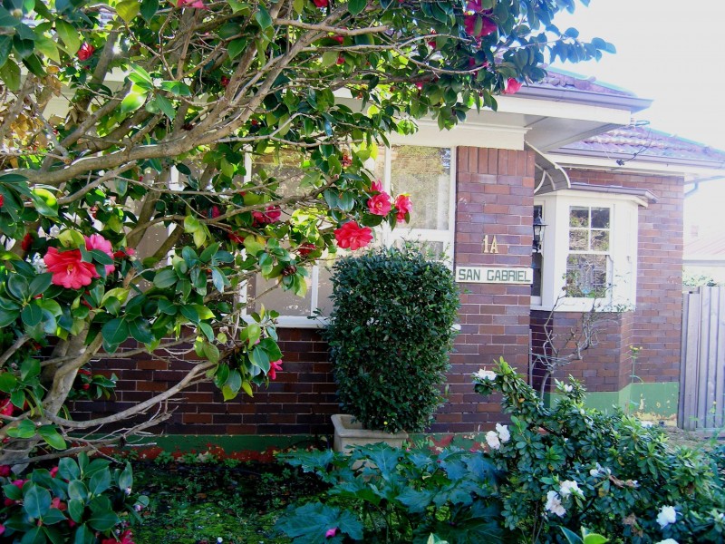 1A NEW, Ashfield NSW 2131