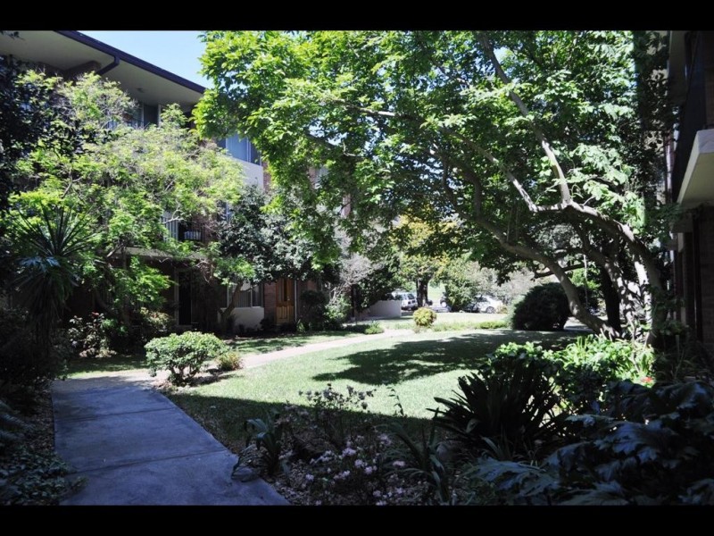 58-70 ORPINGTON STREET, Ashfield NSW 2131