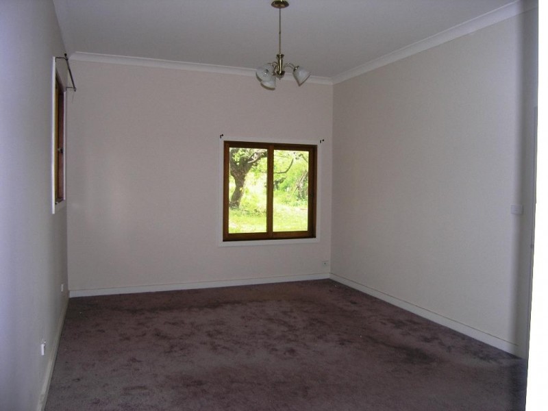 51 Queen Street, Ashfield NSW 2131