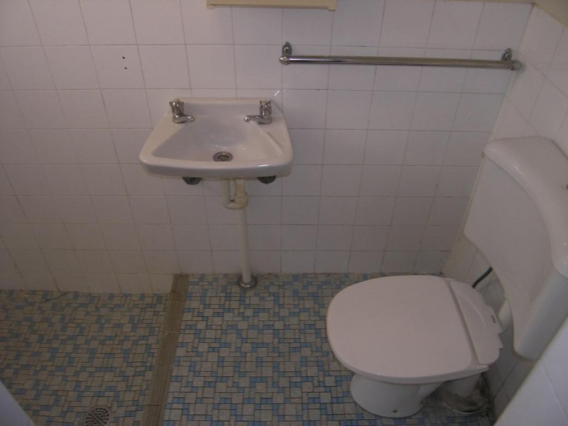 115 Ramsay Road, Haberfield NSW 2045