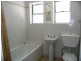 13 THE AVENUE, Ashfield NSW 2131