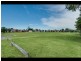 2 GREENLEES AVE, Concord NSW 2137