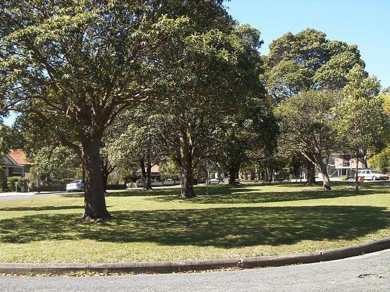 8 BRUNSWICK PDE, Ashfield NSW 2131