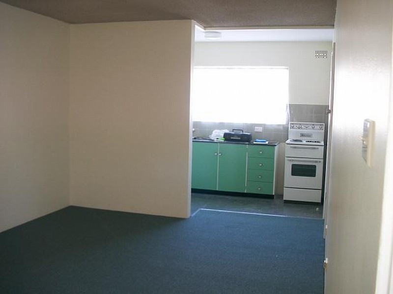 8 BRUNSWICK PDE, Ashfield NSW 2131