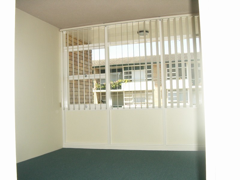 8 BRUNSWICK PDE, Ashfield NSW 2131