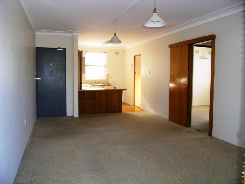 10 Orpington Street, Ashfield NSW 2131