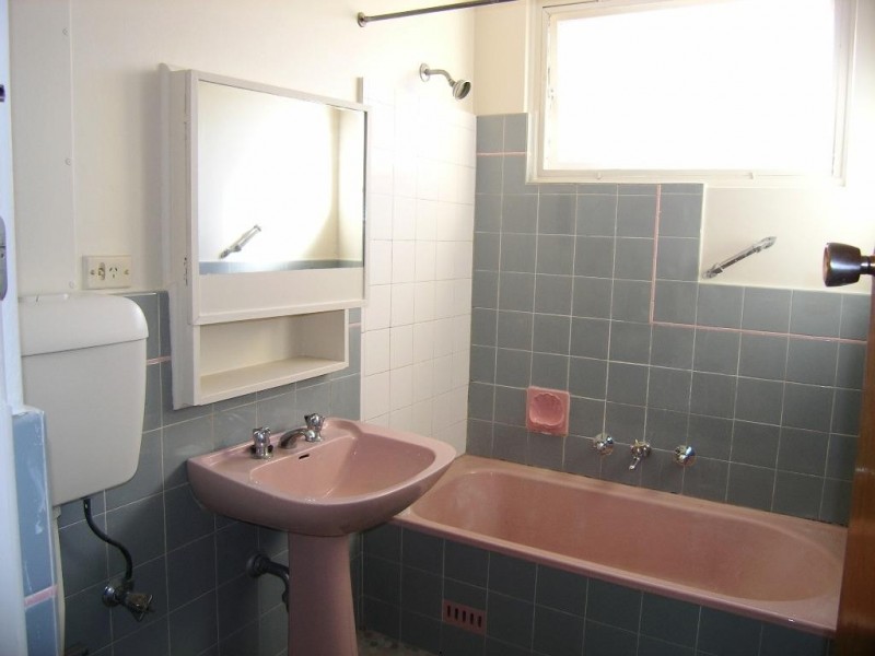 10 Orpington Street, Ashfield NSW 2131