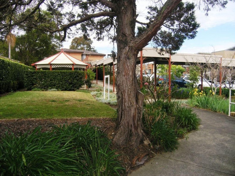 31 Clissold Street, Ashfield NSW 2131