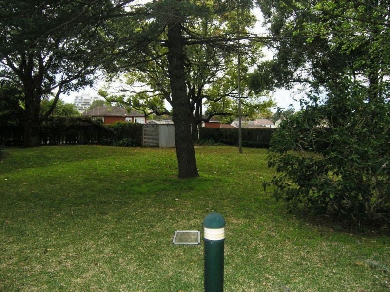 31 Clissold Street, Ashfield NSW 2131