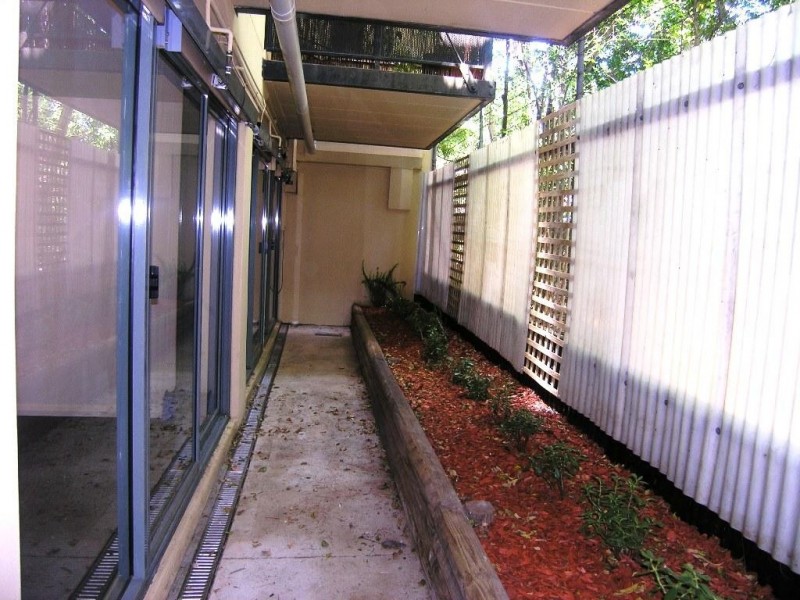 8 Cavill Avenue, Ashfield NSW 2131