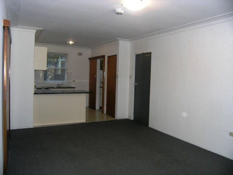 10 ORPINGTON ST, Ashfield NSW 2131