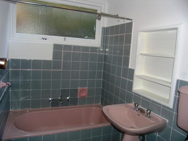 10 ORPINGTON ST, Ashfield NSW 2131