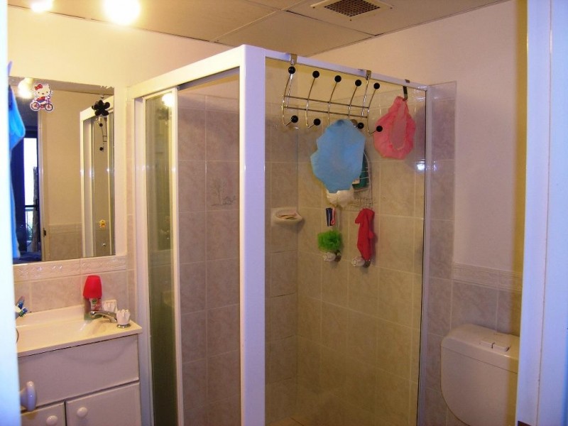 45 Virginia Street, Rosehill NSW 2142