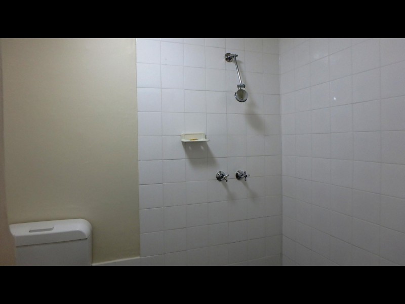 26 Orpington Street, Ashfield NSW 2131