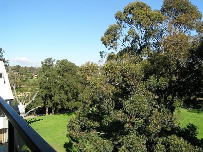 20 Close Street, Canterbury NSW 2193