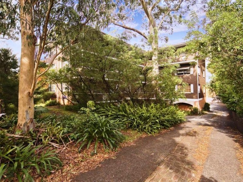 12 Tintern Road, Ashfield NSW 2131
