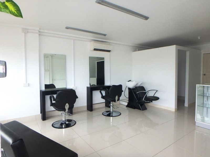 36a King Street, Ashbury NSW 2193