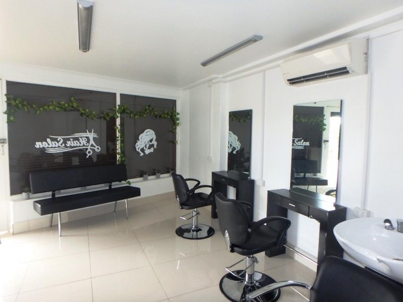 36a King Street, Ashbury NSW 2193