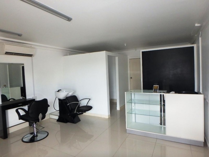 36a King Street, Ashbury NSW 2193