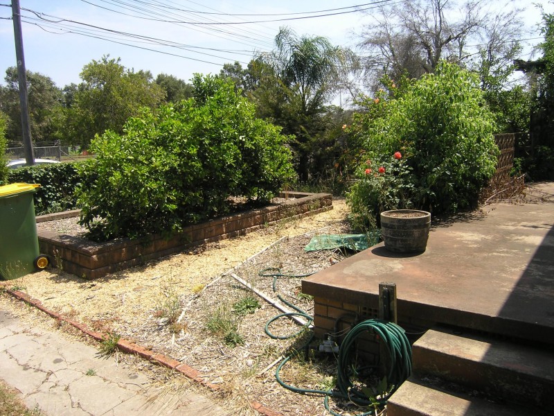 Georges Hall NSW 2198